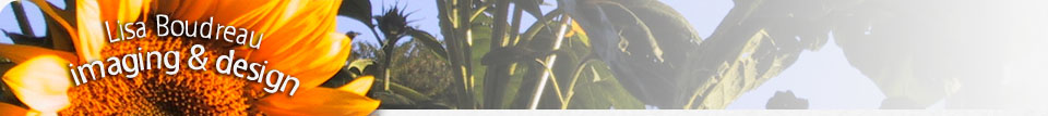 Lisa Boudreau Imaging and Design